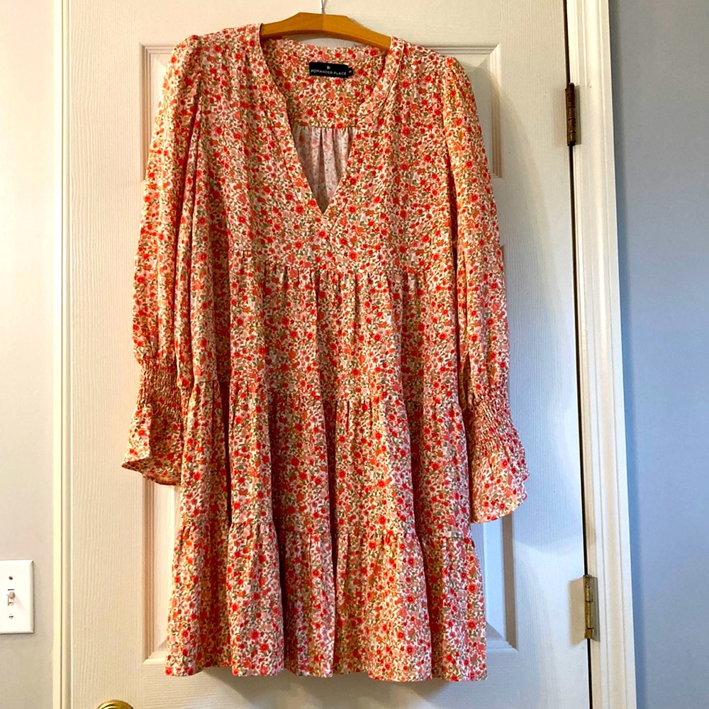 Tuckernuck Pomander Place Kenzo dress XXL (16)
